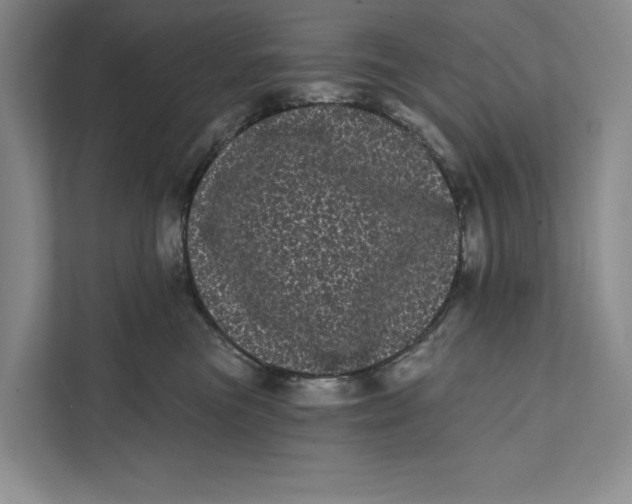 X0000111460473200908031343
