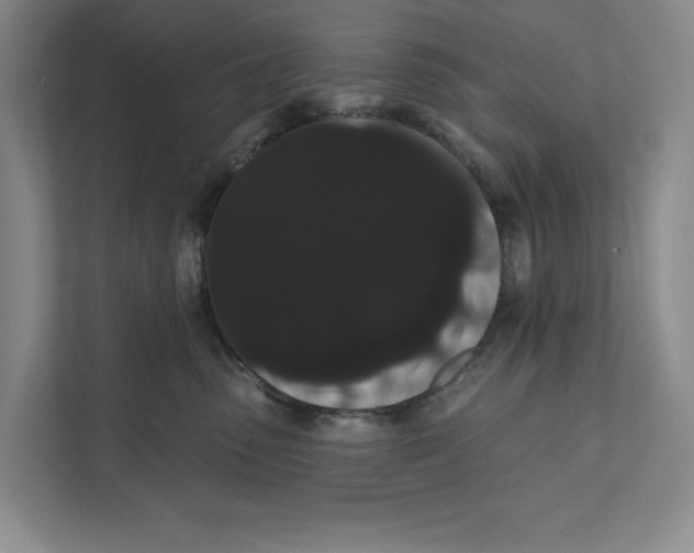 X0000111460475200908031343