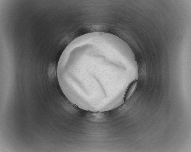 X0000111460478200908031343