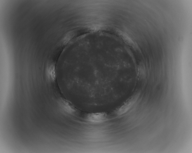 X0000111460479200908031343
