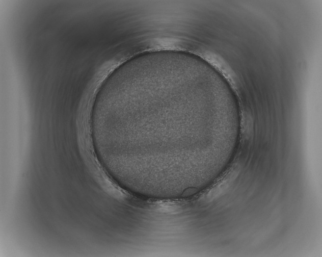 X0000111460481200908031343
