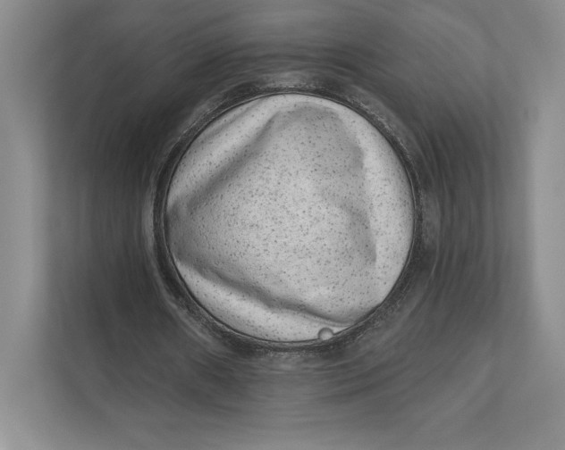 X0000111460482200908031343