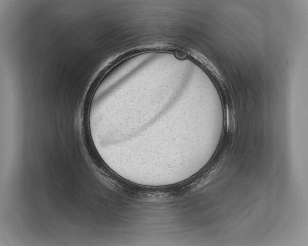 X0000111460483200908031343
