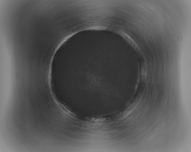 X0000111460484200908031343