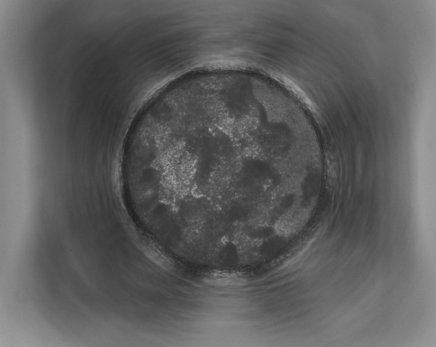 X0000111460487200908031343