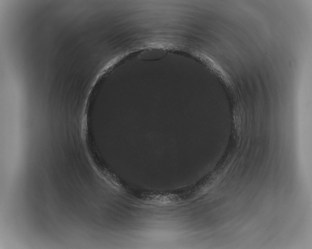 X0000111460488200908031343