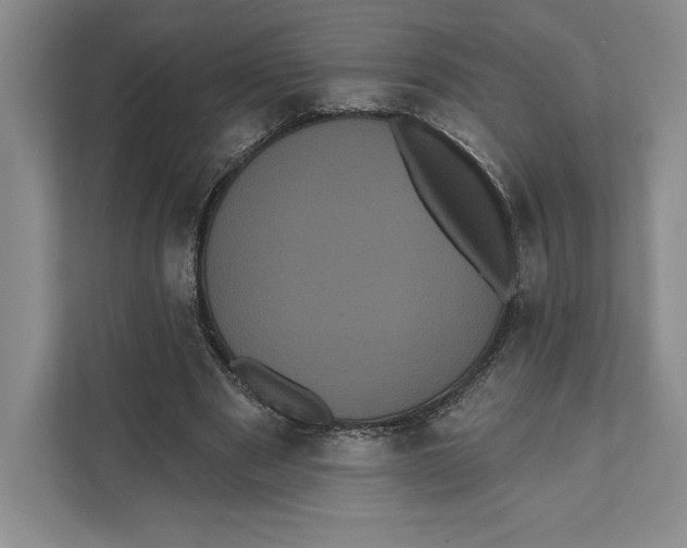 X0000111460489200908031343