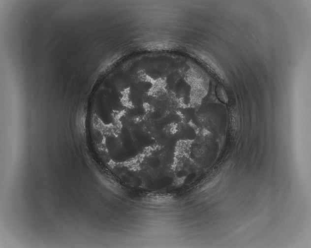 X0000111460491200908031343