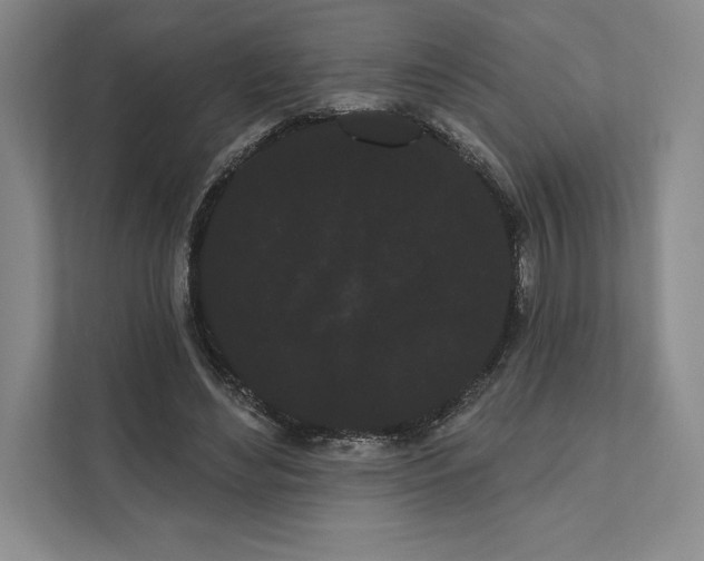 X0000111460492200908031343
