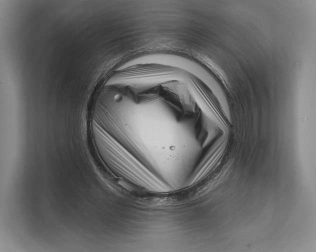 X0000111460493200908031342