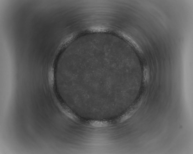 X0000111460494200908031342