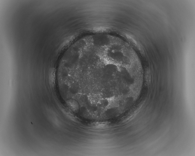 X0000111460495200908031342