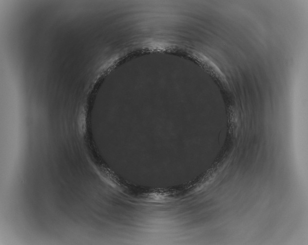 X0000111460496200908031342