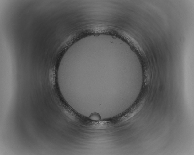 X0000111460497200908031342