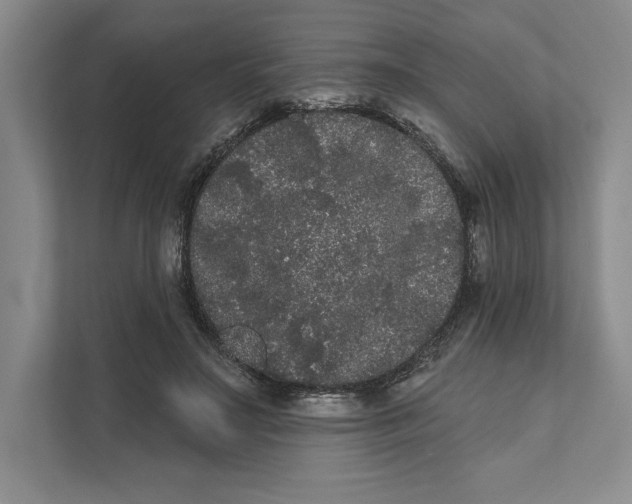 X0000111460499200908031342