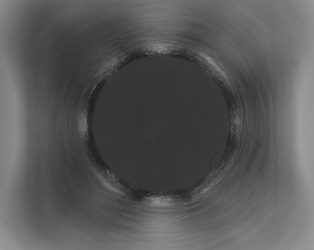 X0000111460500200908031342