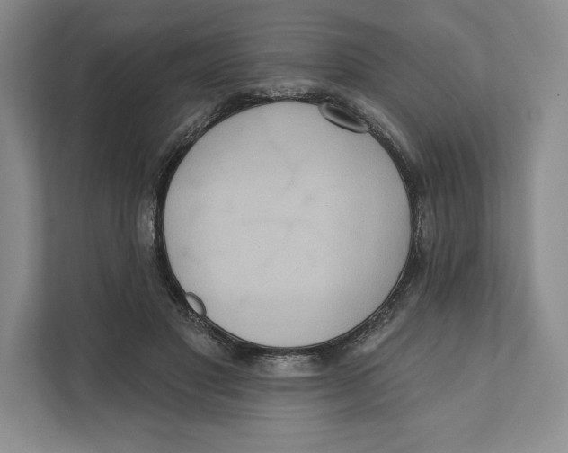 X0000111460501200908031342