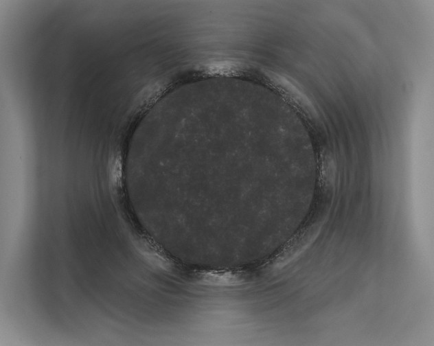 X0000111460502200908031342