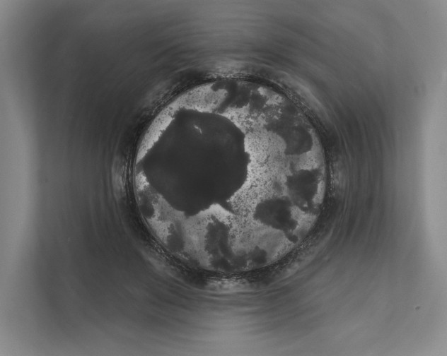 X0000111460503200908031342
