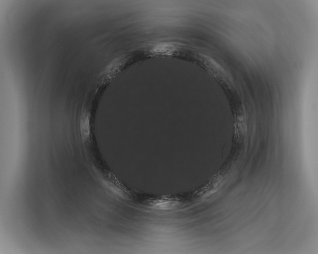 X0000111460504200908031342