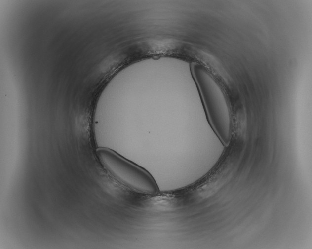 X0000111460505200908031342