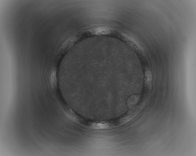 X0000111460506200908031342