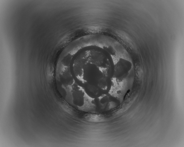X0000111460507200908031342