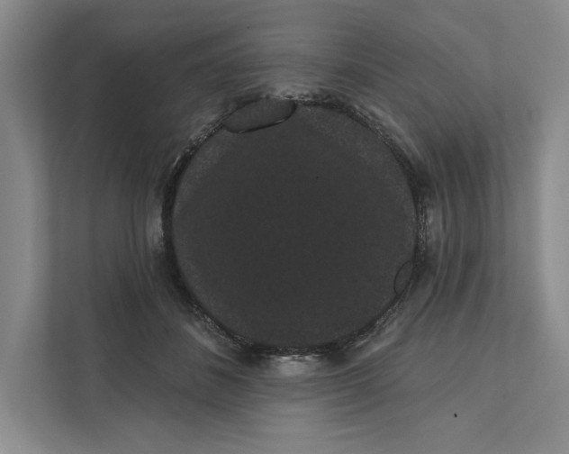 X0000111460508200908031342