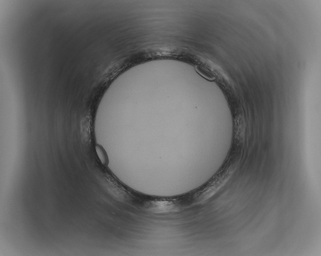 X0000111460509200908031342