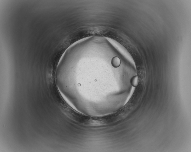 X0000111460510200908031342