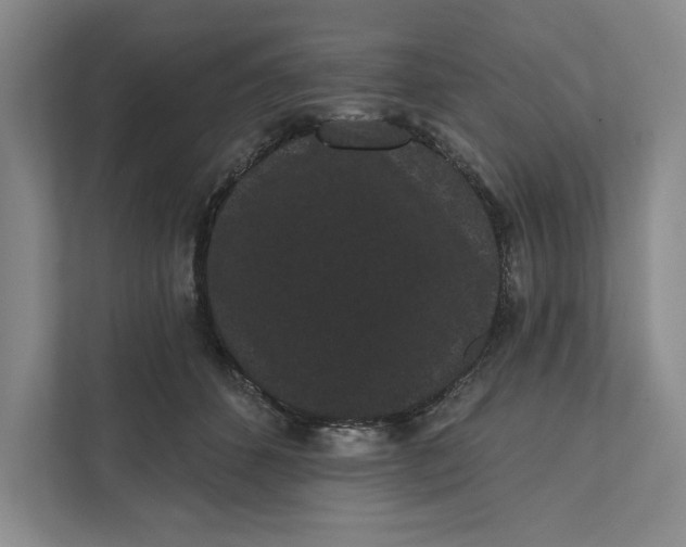 X0000111460512200908031342