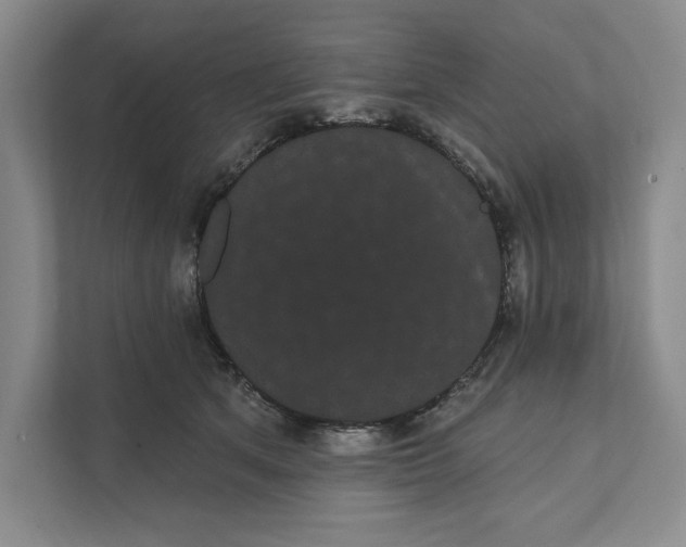 X0000111460513200908031342