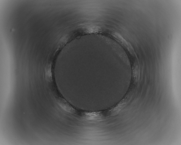 X0000111460516200908031342