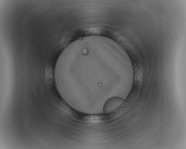X0000111460518200908031342