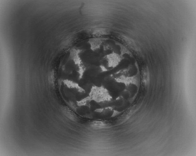 X0000111460519200908031342