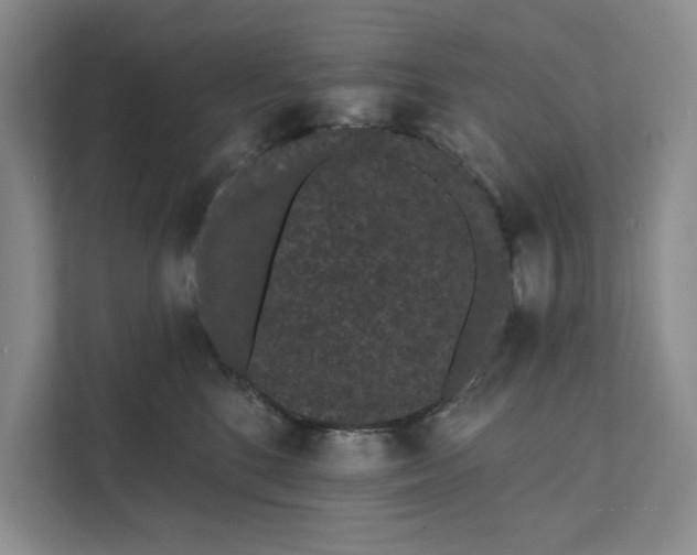 X0000111460520200908031342