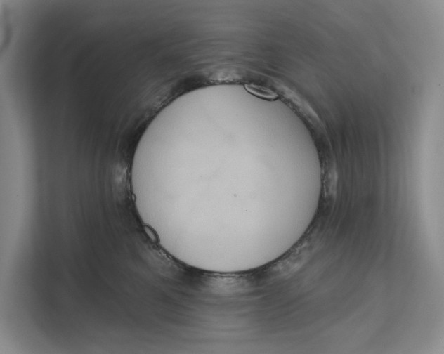 X0000111460521200908031342