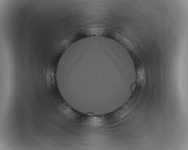 X0000111460522200908031342