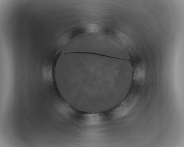 X0000111460524200908031342