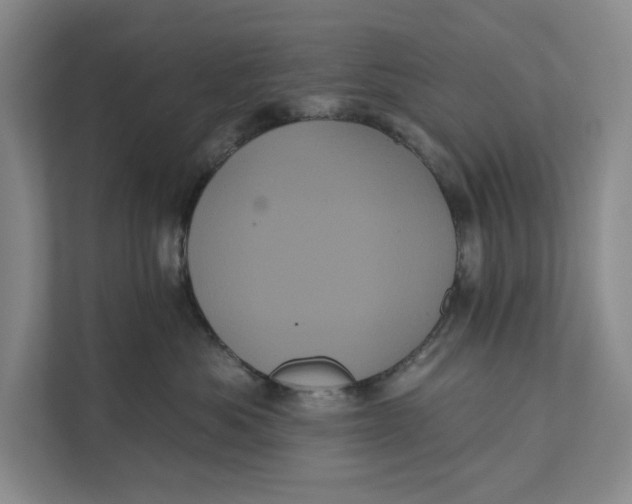 X0000111460525200908031342
