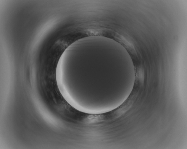 X0000111460526200908031342