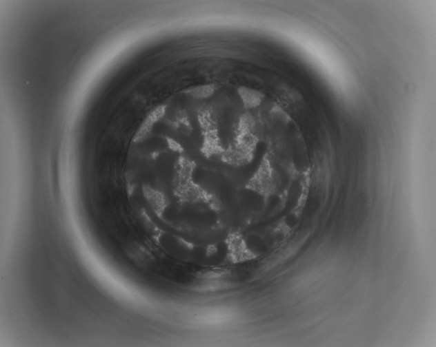 X0000111460527200908031342
