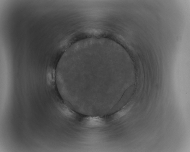 X0000111460528200908031342
