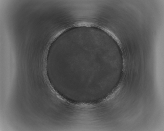 X0000111460529200908031341