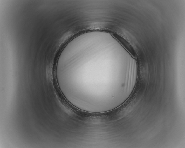 X0000111460530200908031341