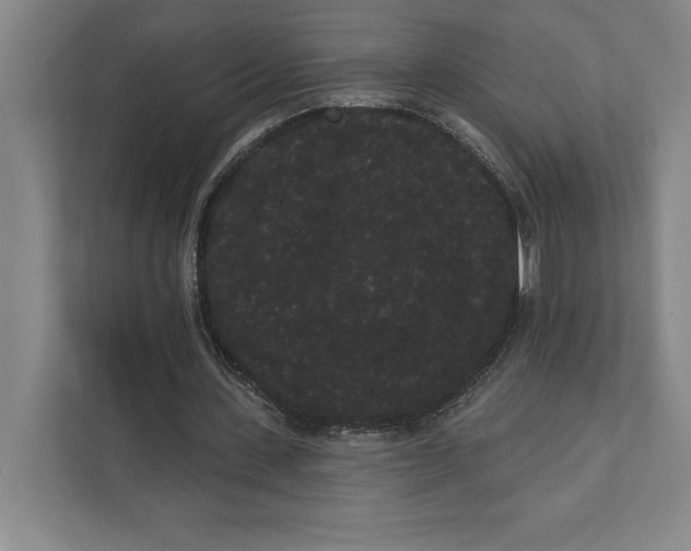 X0000111460531200908031341