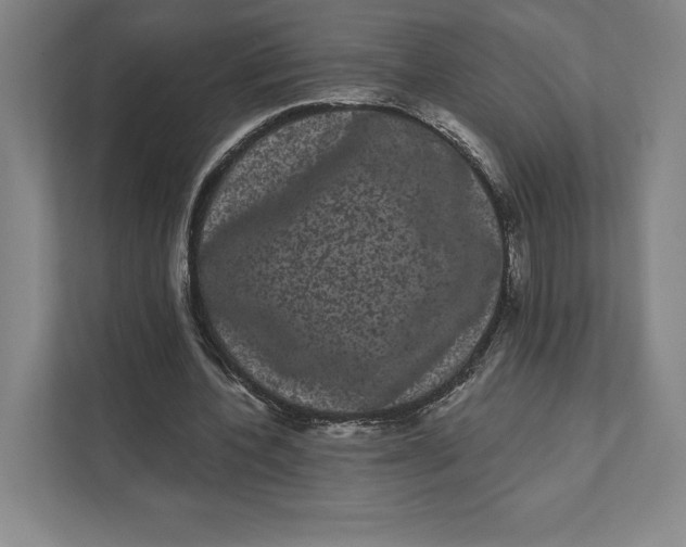 X0000111460532200908031341