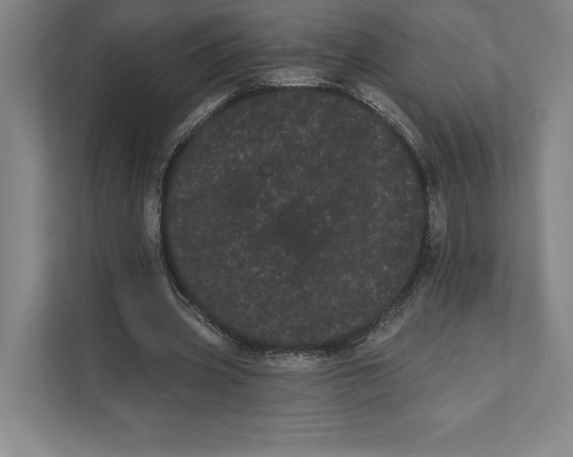 X0000111460533200908031341