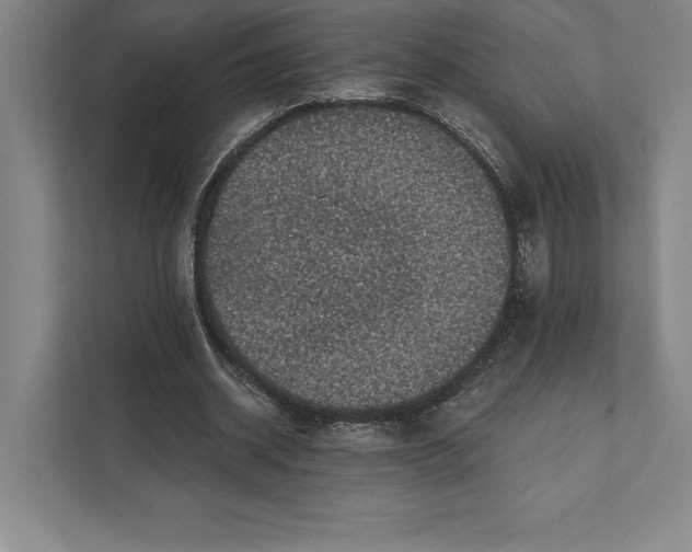 X0000111460534200908031341