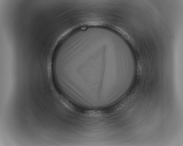 X0000111460535200908031341